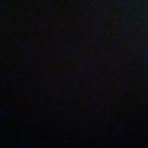 Meet your Posher, Lupita